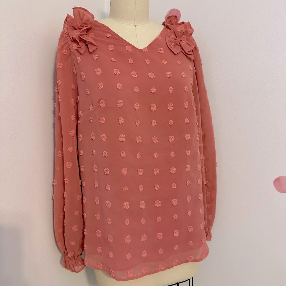 Women’s Long-Sleeve Chiffon Blouse Top, NWOT
